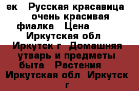  “ек - Русская красавица“ - очень красивая фиалка › Цена ­ 160 - Иркутская обл., Иркутск г. Домашняя утварь и предметы быта » Растения   . Иркутская обл.,Иркутск г.